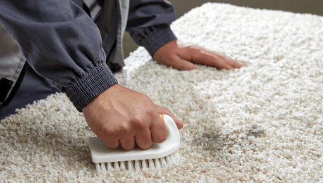 Professional Rug Cleaning Kew